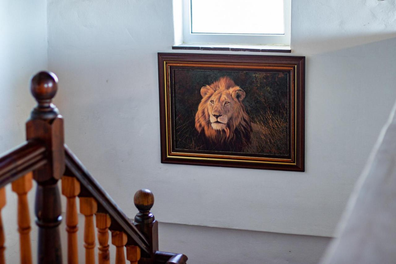 Blaauw Village Guest House بلوبيرجستراند المظهر الخارجي الصورة